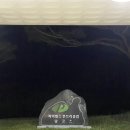 파미홀 | 파미힐스cc 남코스 1년만에 다시 찾은 후기