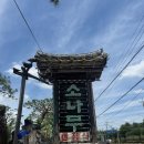 논산목재 | 논산 맛집 소나무한정식 , 주말 소나무 정식 코스 가족 모임 후기