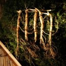 바우농장 이미지