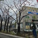 세이브트리엑스퍼트 이미지