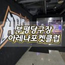 아레나 포켓 클럽 네이버블로그