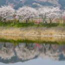 (주)남도
