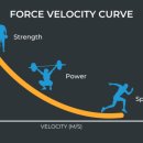 고려 휘트니스 이미지