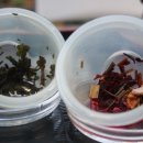 봉평마을회관 이미지