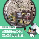 시청별관앞 꽃보라동산 | [북구 기자단] 북구 2경인 꽃보라동산에서 벚꽃을 만나봐요! - 이종진 기자