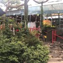 천년소나무정육점