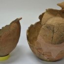 동성축산 이미지