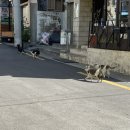 금곡탕 | [부산/사상] 용이초밥 사상점 런치메뉴 솔직후기