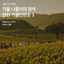 여행의정석 이미지