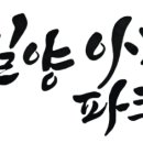 낙동강변18 이미지