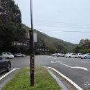 힐링캠프 | 전남 순천 선암사와 순천야생차체험원 방문 후기