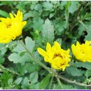 금강온천 이미지