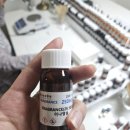 [글로벌2] 컬러심리 향기 테라피(6주/B) | 나만의 북극성을 향해 한 발 한 발 나아가는 향기로운 여정들...♥