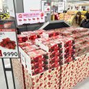 (주)세일피드 이미지