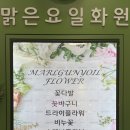 맑은요일 이미지