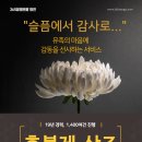 365장례토탈의전