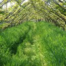 충실농장 이미지