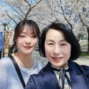 벚꽃 명소 추천: 아산 순천향대학교 캠퍼스 산책기