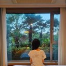 하모니리조트 | 제주 서쪽 하모니 리조트 협재 해수욕장 근처 한림 애월 가성비 가족 숙소 추천