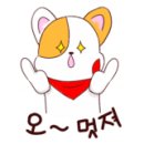 펫코디 이미지