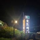 지에스25오드리인호텔점 | 제주공항 인근 가성비 숙소 오드리 인 제주 호텔, 친구와 함께한 제주 여행 마지막 밤