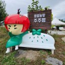 영춘농장 | 곳:) 당근 먹이 무제한 제공해주는 &#39;주주팜 동물농장&#39; 갔다가, 동전가방 만들고 왔어요(ft.경기투어패스...