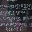 메이플 스토리 애견샵 이미지