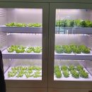 흥남경로당 이미지