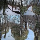 능화 | 제주 한라산 정상 백록담 코스 가장 짧은 한라산 관음사 코스