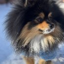 하구암리21 이미지