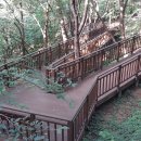 우면산3-15 이미지