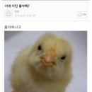 치맥이땡기네 이미지