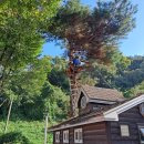 원곡면 게이트볼장 이미지