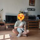 정병원 | 원주 정병원 건강검진/건강검진 전 금식/명절 일상/생리 전 증후군/요즘 떡꼬치