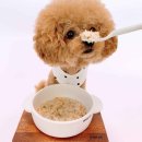 위닝푸드 이미지