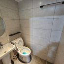 뚱이하우스 이미지