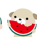 여행 일본어(특별) 이미지