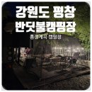 007흥정계곡 반딧불캠핑장 | 강원도 평창 흥정계곡캠핑장 반딧불캠핑장, 어린아이들도 놀기 좋은 수심
