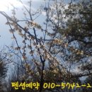 배내의아침 독채펜션 이미지