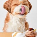 (주)리얼스타 이미지