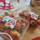 별마을농장 이미지