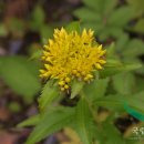 기린초등학교 이미지