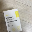포캣 | [본아페티 후기] 고양이 요독증, 고양이 방광염 증상 완화에 효과 본 유리나리캡스포캣 솔직 후기 🐱