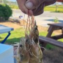 신안농장 이미지