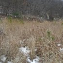 매수1리마을회관 이미지