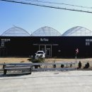 웰리스팜 이미지