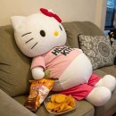 대전 월평동 삼겹살 맛집 [행운삼겹살 대전 월평] - 대전 고깃집 추천,대전 삼겹살, 야장 맛집 추천