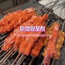 장지역 | 장지역 맛집 송파 문정동 양꼬치 미성양꼬치 내돈내산 재방문 솔직 후기