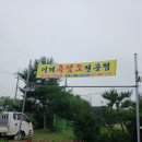 이레흑염소