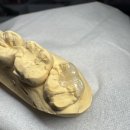 설 치과기공소 이미지